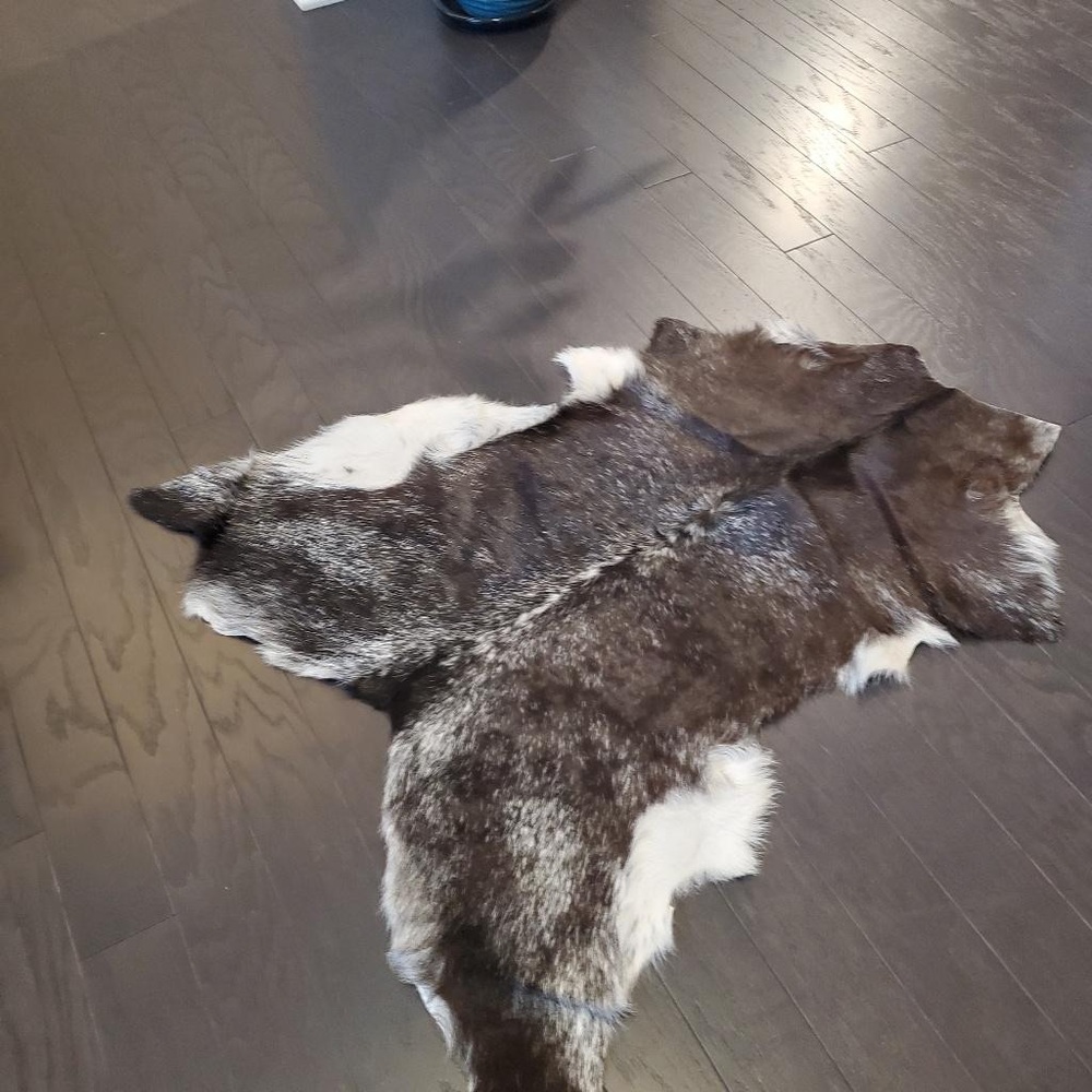 Small cow carpet